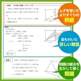 河合塾Wingsのオリジナルテキストは、ムダを省いたよりすぐりの例題・図も付いた詳しい解説／例題の解法を生かして解く類題が充実しています