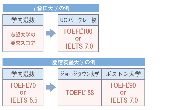 早稲田大学の例、慶應義塾大学の例