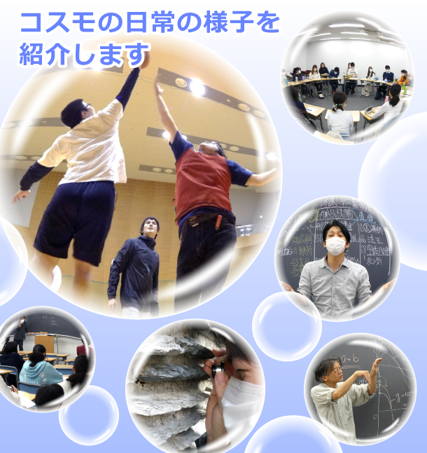 コスモの日常の様子を紹介します