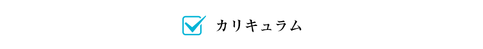 カリキュラム
