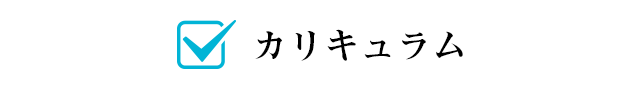 カリキュラム