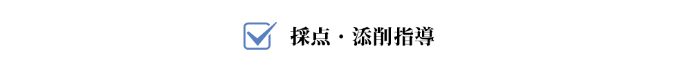 採点・添削指導