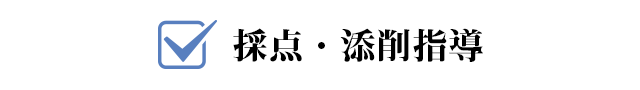 採点・添削指導