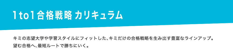 1 to 1 合格戦略カリキュラム　キミの志望大学や学習スタイルにフィットした、キミだけの合格戦略を生み出す豊富なラインアップ。望む合格へ、最短ルートで勝ちにいく。