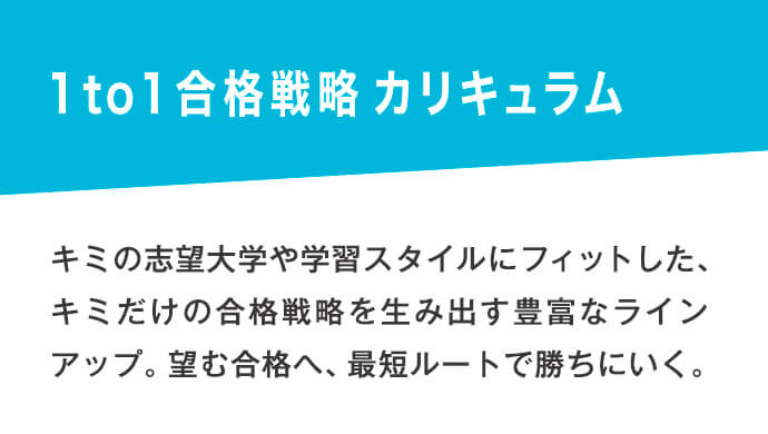 1 to 1 合格戦略カリキュラム　キミの志望大学や学習スタイルにフィットした、キミだけの合格戦略を生み出す豊富なラインアップ。望む合格へ、最短ルートで勝ちにいく。