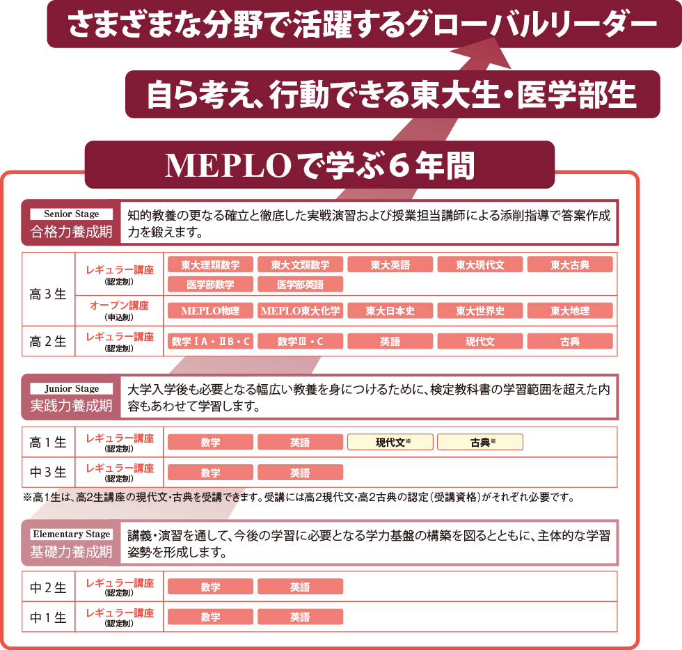 MEPLOで学ぶ6年間→自ら考え行動できる東大生・医学部生→さまざまな分野で活躍するグローバルリーダー