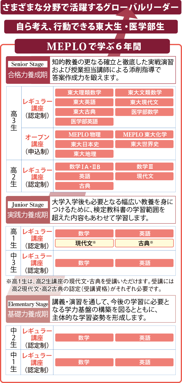 MEPLOで学ぶ6年間→自ら考え行動できる東大生・医学部生→さまざまな分野で活躍するグローバルリーダー