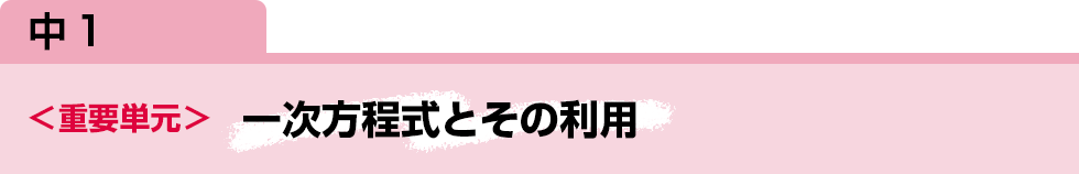 中1　＜重要単元＞ 一次方程式とその利用