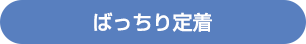 ばっちり定着