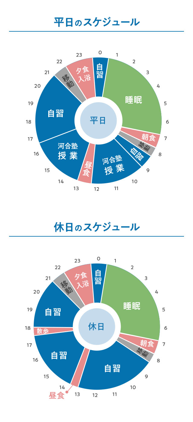 浪人時の1日のスケジュール円グラフ