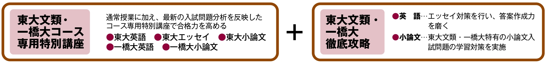 東大文類・一橋大コース専用特別講座＋東大文類・一橋大徹底攻略