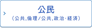公民（公共,倫理/公共,政治･経済）