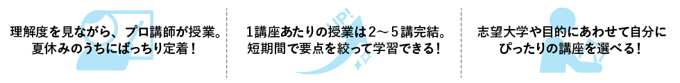 理解度を見ながら、プロ講師が授業。夏休みのうちにばっちり定着！ 1講座あたりの授業は2～5講完結。短期間で要点を絞って学習できる！ 志望大学や目的にあわせて自分にぴったりの講座を選べる！