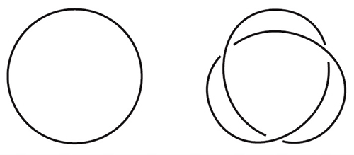 結び目の図
