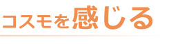 コスモを感じる