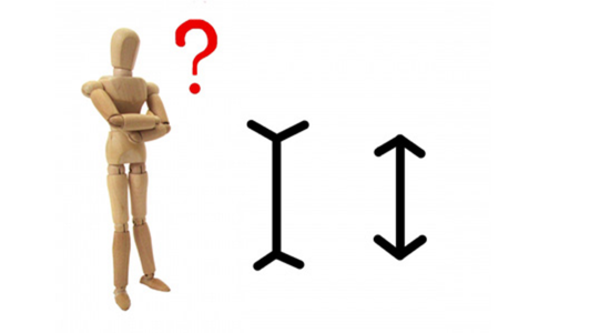 高校で学ぶ心理学　－わたしたちの思い込みと情報のトリック－