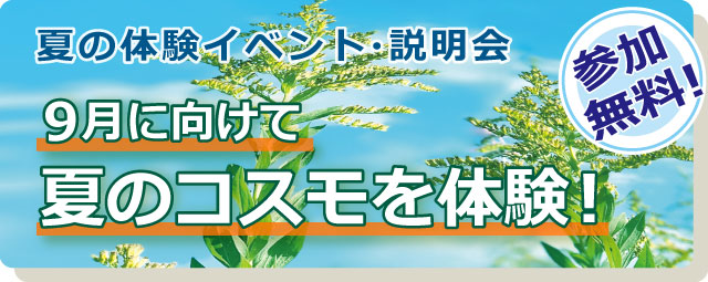 夏の体験イベント・説明会　９月に向けて夏のコスモを体験！　参加無料！