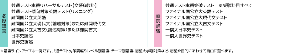 ■冬期講習 共通テスト本番リハーサルテスト【文系6教科】 共通テスト傾向対策英語テスト（リスニング） 難関国公立大英語 難関国公立大現代文（論述対策）または難関現代文 難関国公立大古文（論述対策）または難関古文 日本史論述 世界史論述 ■直前講習 共通テスト本番突破テスト※受験科目すべて ファイナル国公立大英語テスト ファイナル国公立大現代文テスト ファイナル国公立大古文テスト 一橋大日本史テスト 一橋大世界史テスト ※講座ラインアップは一例です。共通テスト対策講座やレベル別講座、テーマ別講座、志望大学別対策など、志望や目的にあわせて自由に選べます。