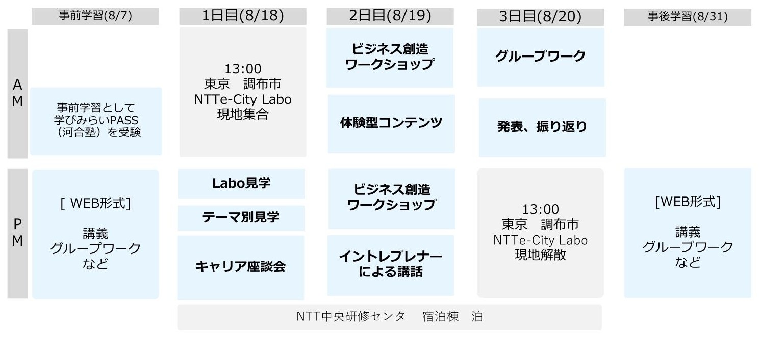 ツアー概要