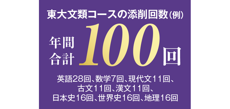 東大文類コースの添削回数（例）年間合計100回 英語28回、数学7回、現代文11回、古文11回、漢文11回、日本史16回、世界史16回、地理16回