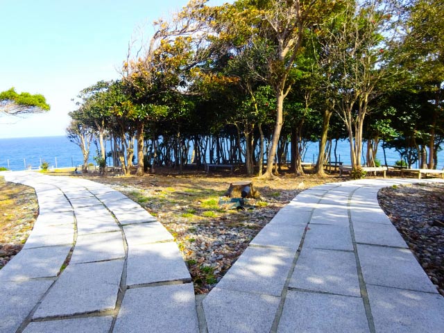 水平線　石畳　分かれ道　進む道を選択する分岐点のイメージ