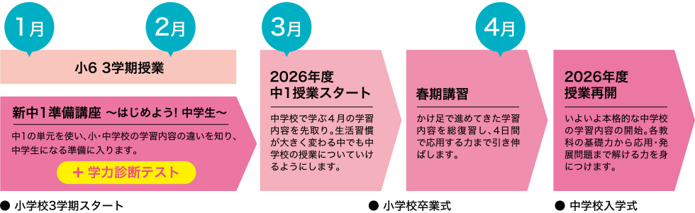 スケジュール（中学生になるまで）