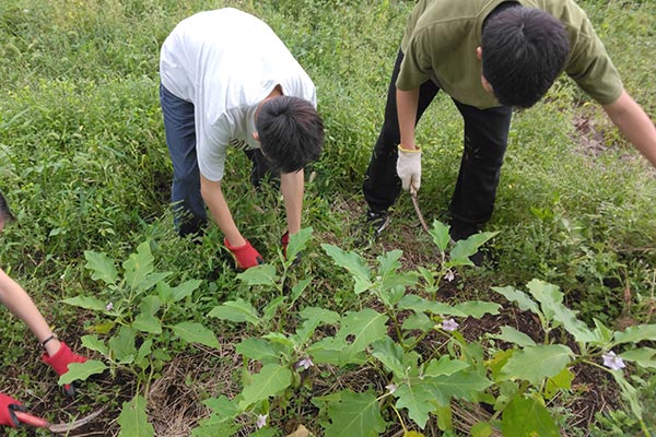 農園サークルの様子。軽く体を動かしながら、体と心のコンディションを整えます。