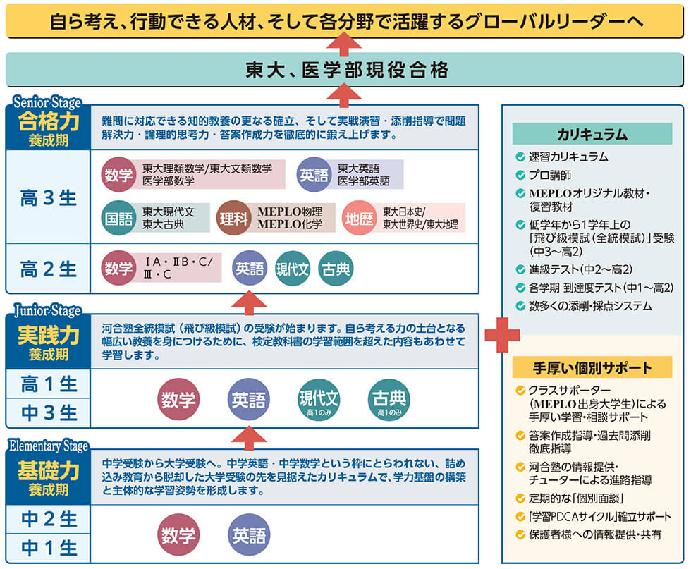 基礎力養成期（中1生・中2生） → 実践力養成期（中3生・高1生） → 合格力養成期（高2生・高3生） → 東大、医学部現役合格 → 自ら考え、行動できる人材、そして各分野で活躍するグローバルリーダーへ