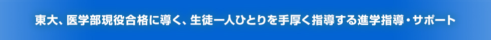 東大、医学部現役合格に導く、生徒一人ひとりを手厚く指導する進学指導・サポート