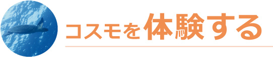 コスモを体験する