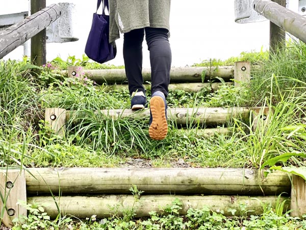 階段を上る足元の写真。一歩ずつ、確実に歩みを進める様子で、基礎からの学び直し、一つずつ確実に積み上げることをイメージ。