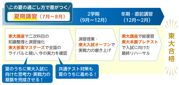 この夏の過ごし方で差がつく 夏期講習（7月～8月） 東大講座で二次科目の知識整理と演習強化 東大答案マスターズで全国のライバルと競い、今の実力を確認 夏のうちに東大入試に向けた思考力・実戦力の基盤を完成させる！ 共通テスト対策も夏のうちに進める！ 2学期（9月～12月） 演習授業・東大入試オープンで実戦力の磨き上げ 冬期・直前講習（12月～2月） 東大講座で総復習 東大本番プレテストで入試に向けた最終リハーサル 東大合格