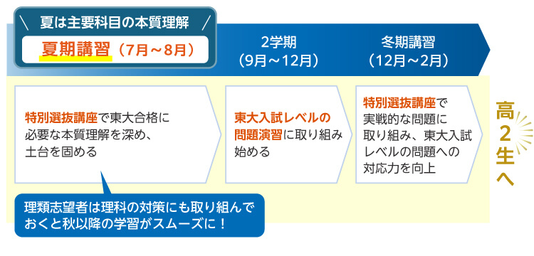 夏は主要科目の本質理解 夏期講習（7月～8月） 特別選抜講座で東大合格に必要な本質理解を深め、土台を固める 理類志望者は理科の対策にも取り組んでおくと秋以降の学習がスムーズに！ 2学期（9月～12月） 東大入試レベルの問題演習に取り組み始める 冬期講習（12月～2月） 特別選抜講座で実戦的な問題に取り組み、東大入試レベルの問題への対応力を向上 高2生へ