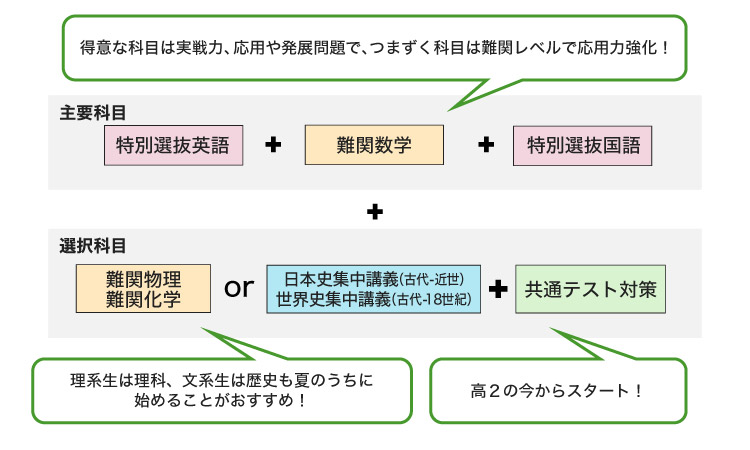 主要科目 特別選抜英語＋難関数学＋特別選抜国語 得意な科目は実戦力、応用や発展問題でつまずく科目は難関レベルで応用力強化！ 選択科目 難関物理 難関化学 or 日本史集中講義（古代ー近世） 世界史集中講義（古代ー18世紀）＋共通テスト対策 理系生は理科、文系生は歴史も夏のうちに始めることがおすすめ！ 高2の今からスタート！