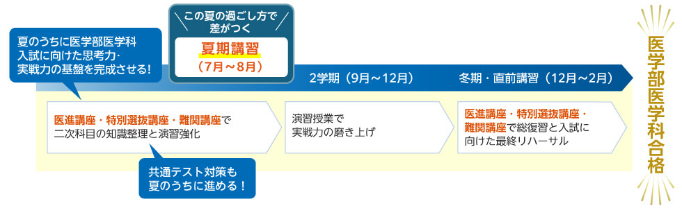 この夏の過ごし方で差がつく 夏期講習（7月～8月） 医進講座・特別選抜講座・難関講座で二次科目の知識整理と演習強化 夏のうちに医学部医学科入試に向けた思考力・実戦力の基盤を完成させる！ 共通テスト対策も夏のうちに進める！ 2学期（9月～12月） 演習授業で実戦力の磨き上げ 冬期・直前講習（12月～2月） 医進講座・特別選抜講座・難関講座で総復習と入試に向けた最終リハーサル 医学部医学科合格