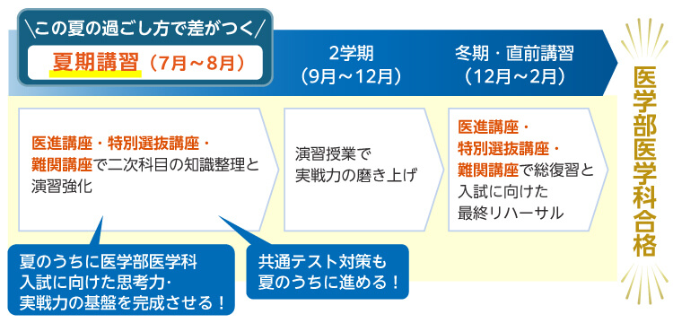 この夏の過ごし方で差がつく 夏期講習（7月～8月） 医進講座・特別選抜講座・難関講座で二次科目の知識整理と演習強化 夏のうちに医学部医学科入試に向けた思考力・実戦力の基盤を完成させる！ 共通テスト対策も夏のうちに進める！ 2学期（9月～12月） 演習授業で実戦力の磨き上げ 冬期・直前講習（12月～2月） 医進講座・特別選抜講座・難関講座で総復習と入試に向けた最終リハーサル 医学部医学科合格