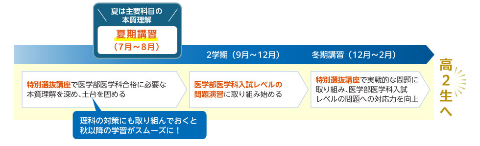 夏は主要科目の本質理解 夏期講習（7月～8月） 特別選抜講座で医学部医学科合格に必要な本質理解を深め、土台を固める 理科の対策にも取り組んでおくと秋以降の学習がスムーズに！ 2学期（9月～12月） 医学部医学科入試レベルの問題演習に取り組み始める 冬期講習（12月～2月） 特別選抜講座で実戦的な問題に取り組み、医学部医学科入試レベルの問題への対応力を向上 高2生へ
