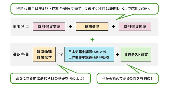 主要科目 特別選抜英語 ＋ 難関数学 ＋ 特別選抜国語 得意な科目は実戦力・応用や発展問題で、つまずく科目は難関レベルで応用力強化！ 選択科目 難関物理、難関化学 or 日本史集中講義（古代-近世）、世界史集中講義（古代-18世紀） 高3になる前に選択科目の基礎を固めよう！ ＋ 共通テスト対策 今から始めて高3の春を有利に！