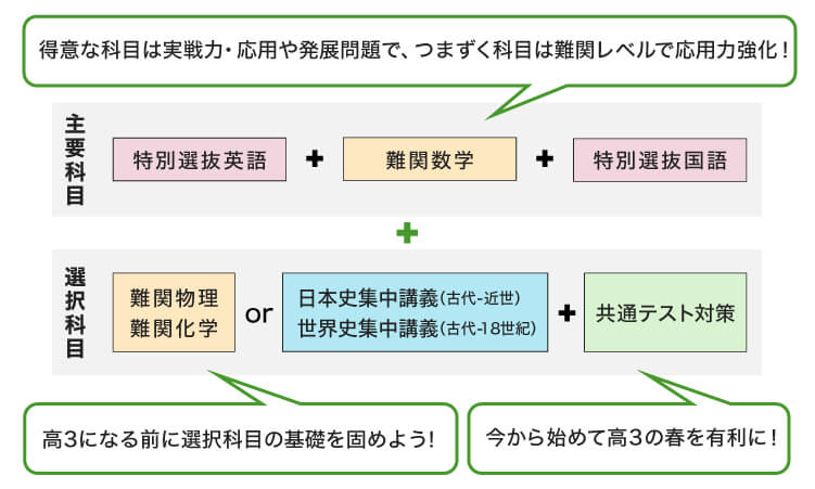 主要科目 特別選抜英語 ＋ 難関数学 ＋ 特別選抜国語 得意な科目は実戦力・応用や発展問題で、つまずく科目は難関レベルで応用力強化！ 選択科目 難関物理、難関化学 or 日本史集中講義（古代-近世）、世界史集中講義（古代-18世紀） 高3になる前に選択科目の基礎を固めよう！ ＋ 共通テスト対策 今から始めて高3の春を有利に！