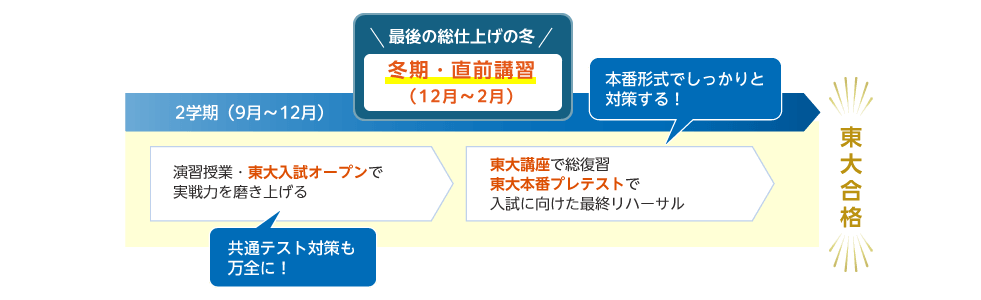 2学期（9月～12月） 演習授業・東大入試オープンで実戦力を磨き上げる 共通テスト対策も万全に！ 最後の総仕上げの冬 冬期・直前講習（12月～2月） 東大講座で総復習 東大本番プレテストで入試に向けた最終リハーサル 本番形式でしっかりと対策する！ 東大合格