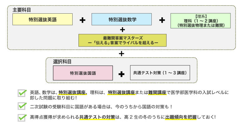 主要科目 特別選抜英語 ＋ 特別選抜数学 ＋ 【理系】理科（1〜2講座）（特別選抜物理または難関） ＋ 最難関答案マスターズー「伝える」答案でライバルを超えるー ＋ 選択科目 特別選抜国語 ＋ 共通テスト対策（1〜3講座） ・英語、数学は、特別選抜講座、理科は、特別選抜講座または難関講座で医学部医学科の入試レベルに即した問題に取り組む！ ・二次試験の受験科目に国語がある場合は、今のうちから国語の対策も！ ・高得点獲得が求められる共通テストの対策は、高2生の冬のうちに出題傾向を把握しておく！