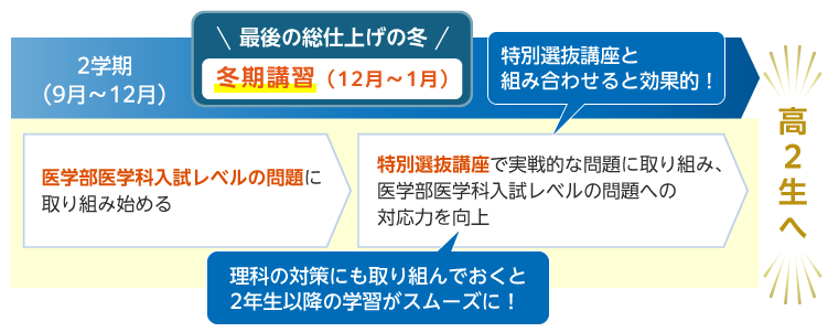2学期（9月～12月） 医学部医学科入試レベルの問題に取り組み始める 最後の総仕上げの冬 冬期講習（12月～1月） 特別選抜講座で実戦的な問題に取り組み、医学部医学科入試レベルの問題への対応力を向上 特別選抜講座と組み合わせると効果的！ 理科の対策にも取り組んでおくと2年生以降の学習がスムーズに！ 高2生へ