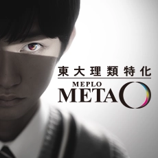 東大理類特化 MEPLOMETA