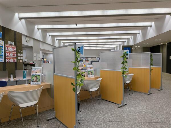 写真1